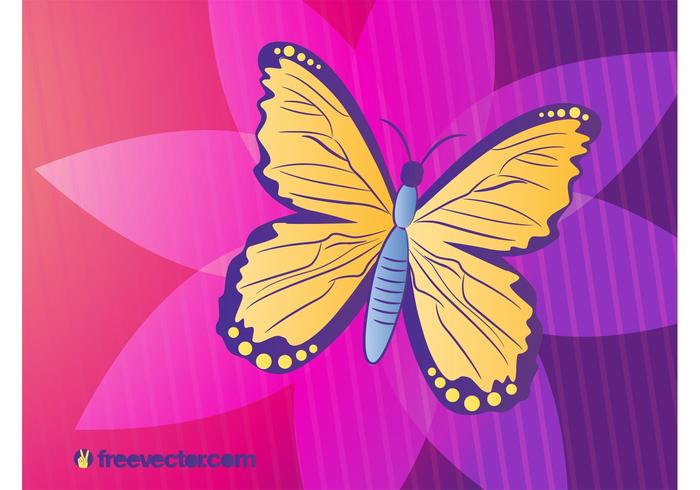 Butterfly Vector Illustration Butterfly Vector Illustration
