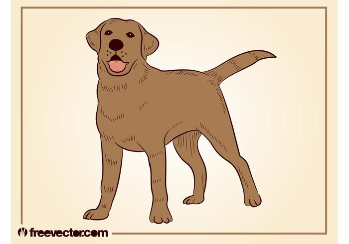 Dog Illustration Dog Illustration