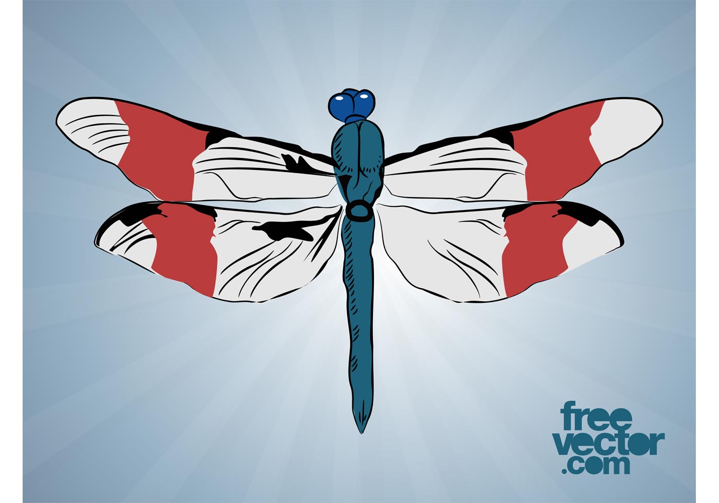 Free Free Dragonfly Butterfly Svg 98 SVG PNG EPS DXF File