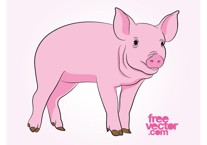 pig clipart vector - photo #23