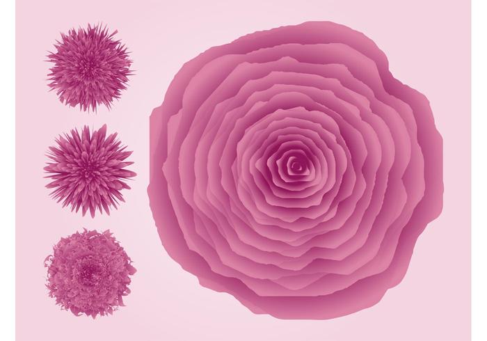 Vector Flower Blossoms Vector Flower Blossoms