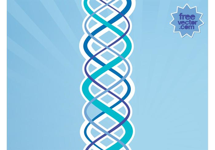 Vector DNA Vector DNA