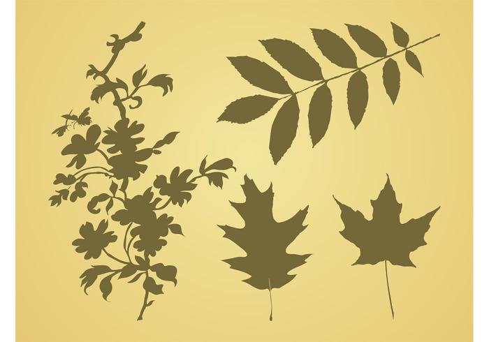 Leaves Vector Graphics Leaves Vector Graphics
