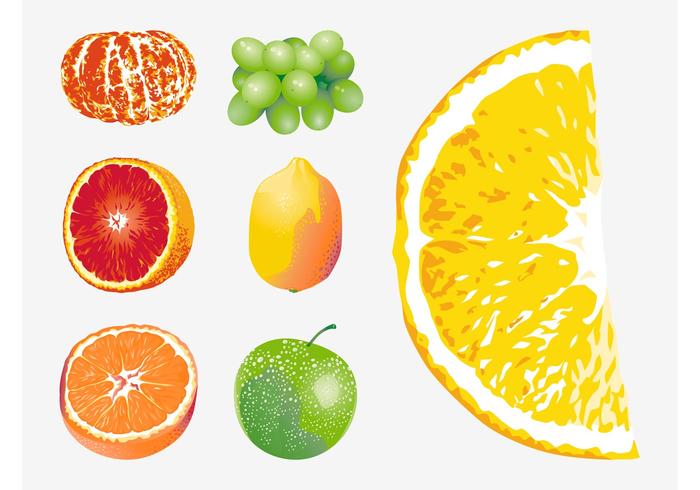 Vector Fruits Vector Fruits