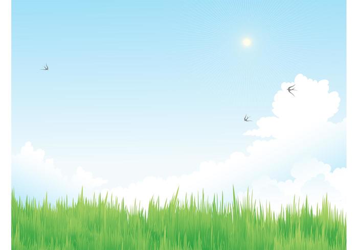 Spring Vector Meadow Spring Vector Meadow