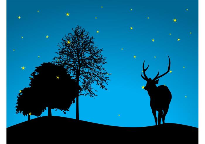 Night Forest Vector Night Forest Vector