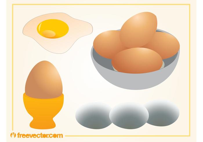 Egg Vectors Egg Vectors