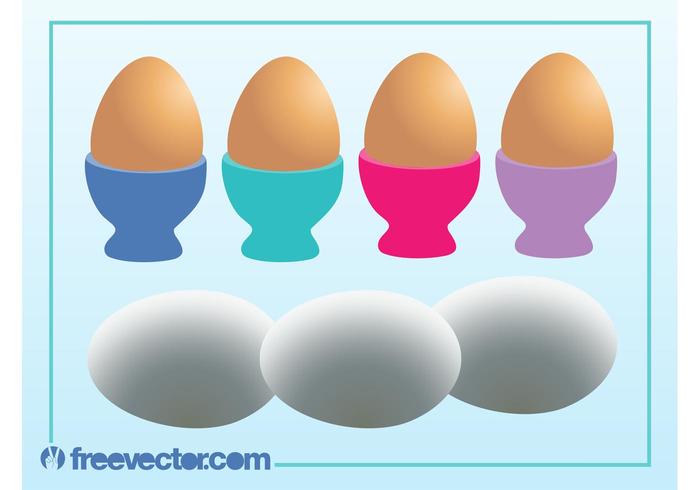 Vector Eggs Vector Eggs