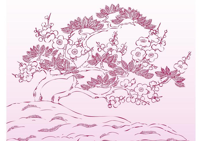 Cherry Tree Vector Cherry Tree Vector