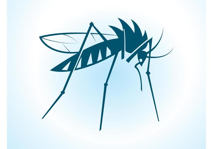 Vector Mosquito Vector Mosquito