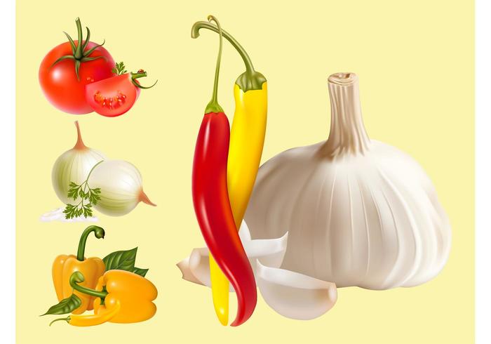 Vector Vegetables Vector Vegetables