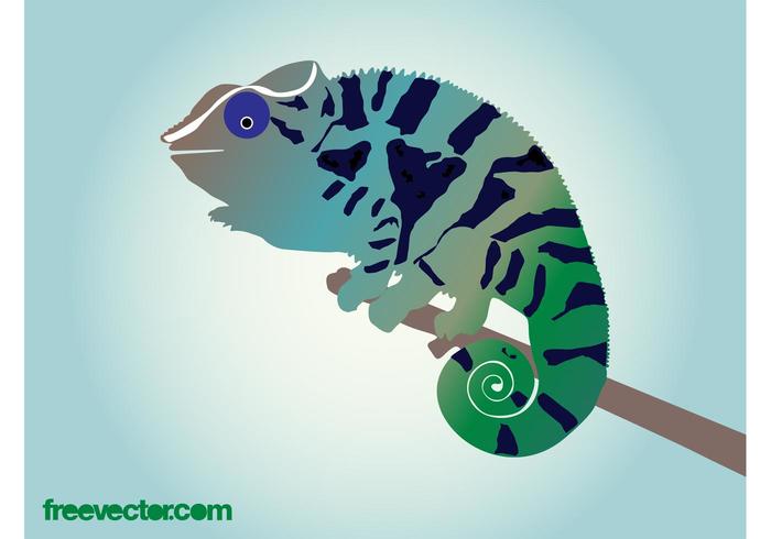 Chameleon Vector Chameleon Vector