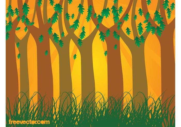 Sunset Forest Vector Sunset Forest Vector