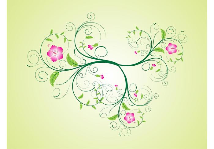 Vector Hibiscus Flower Vector Hibiscus Flower