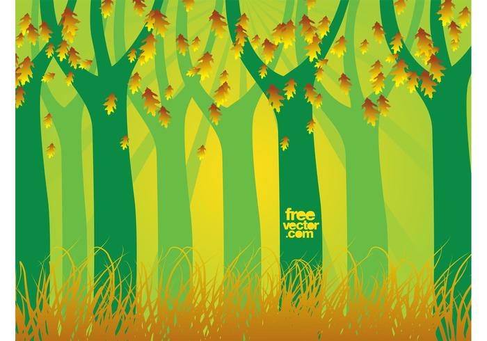 Autumn Forest Vector Autumn Forest Vector