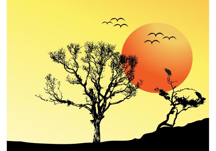 Sunset Vector Background Sunset Vector Background