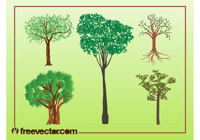 Vector Trees Illustrations Vector Trees Illustrations