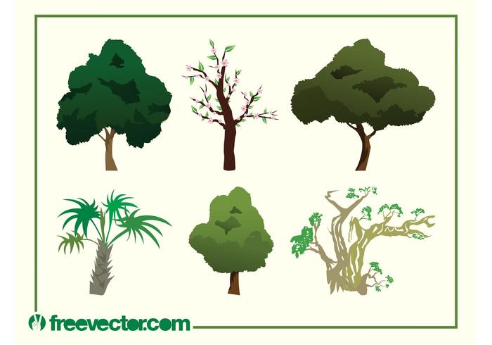 Vector Tree Images Vector Tree Images