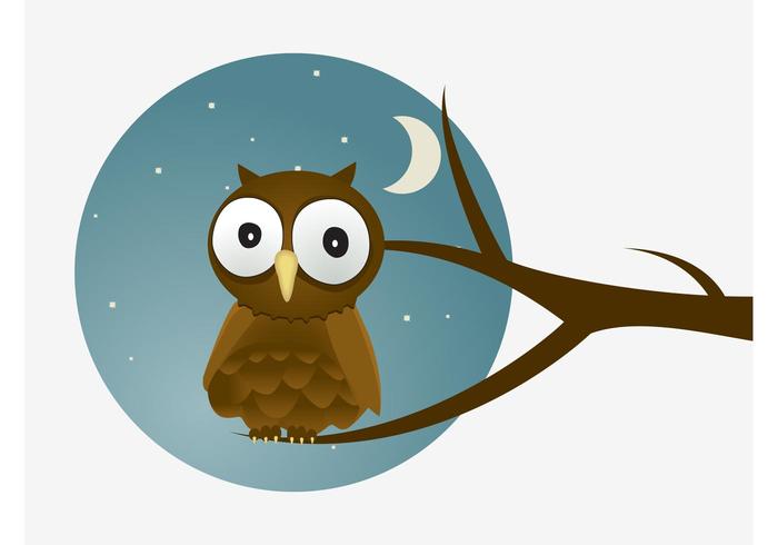 Cartoon Owl Vector Cartoon Owl Vector