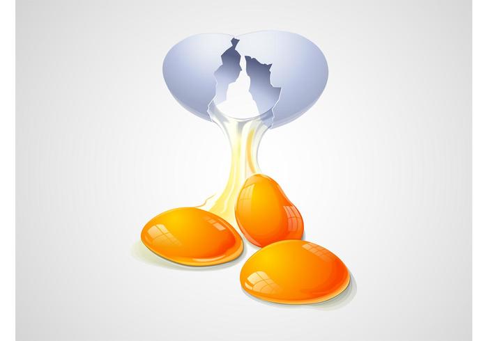 Cracked Egg Vector Cracked Egg Vector
