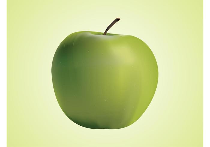 Realistic Vector Apple