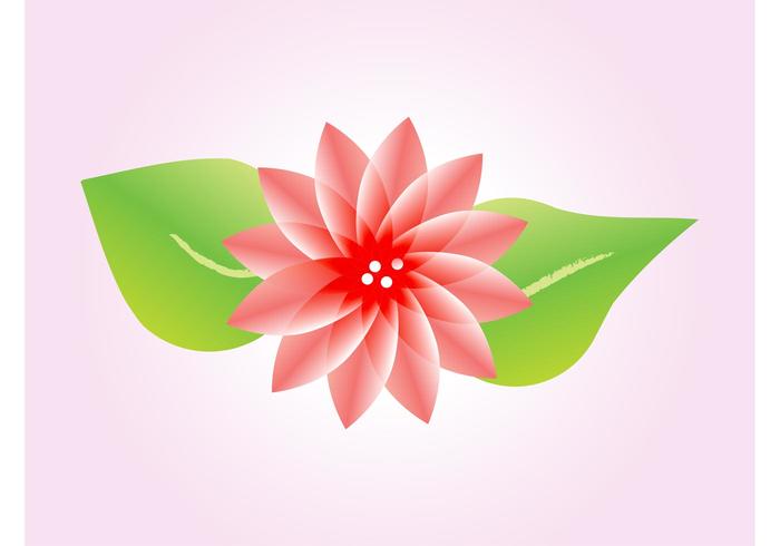 Lotus Flower Vector