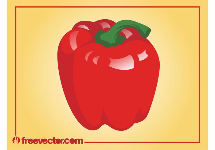 Red Pepper Vector