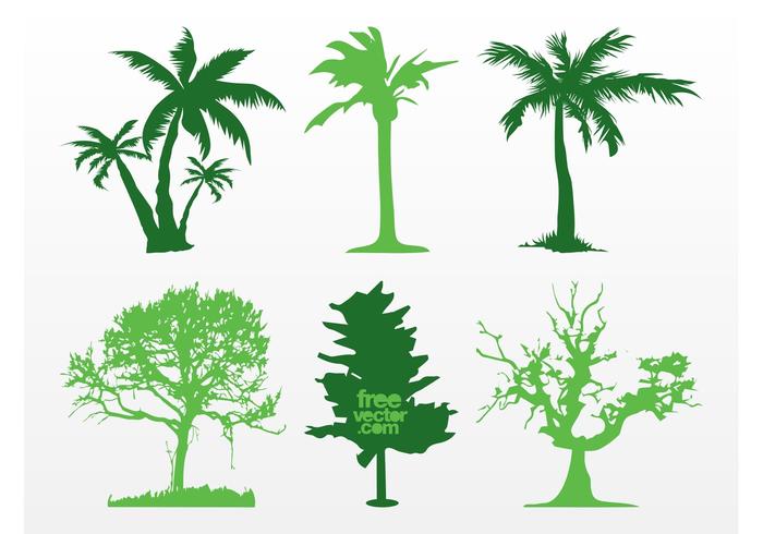 Exotic Trees Vectors Exotic Trees Vectors
