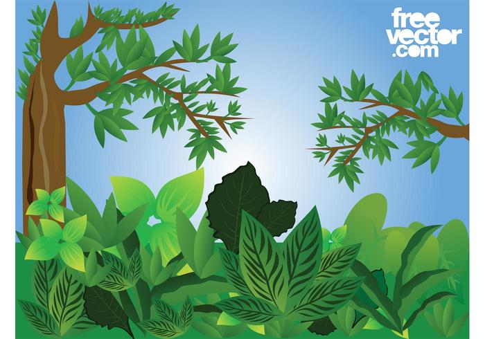 Forest Vector Forest Vector