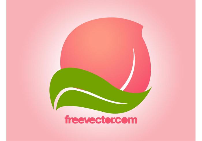 Vector Flower Blossom Vector Flower Blossom