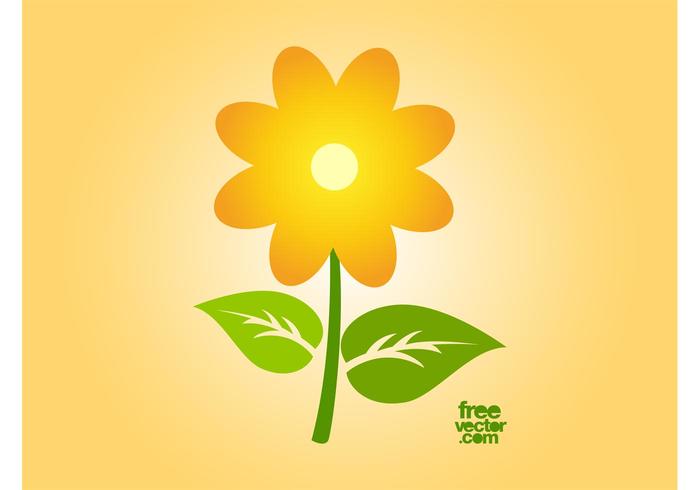 Vector Sunflower Icon Vector Sunflower Icon