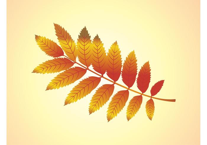 Autumn Branch Vector Autumn Branch Vector