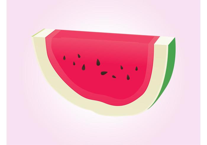 Watermelon Vector Watermelon Vector
