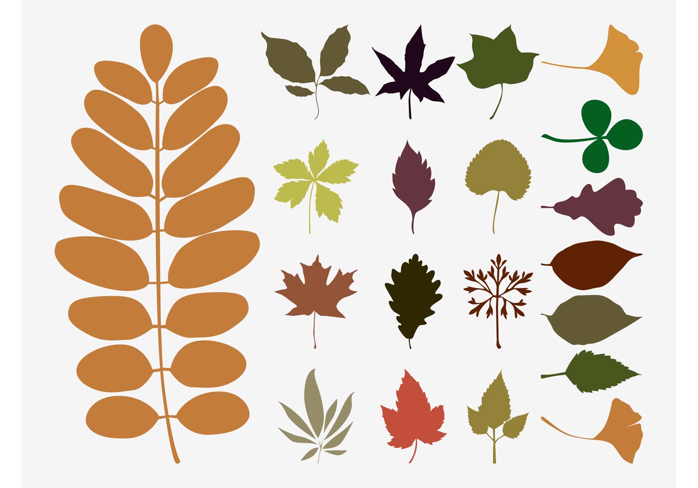 Fall Leaves Vectors - Download Free Vector Art, Stock ...