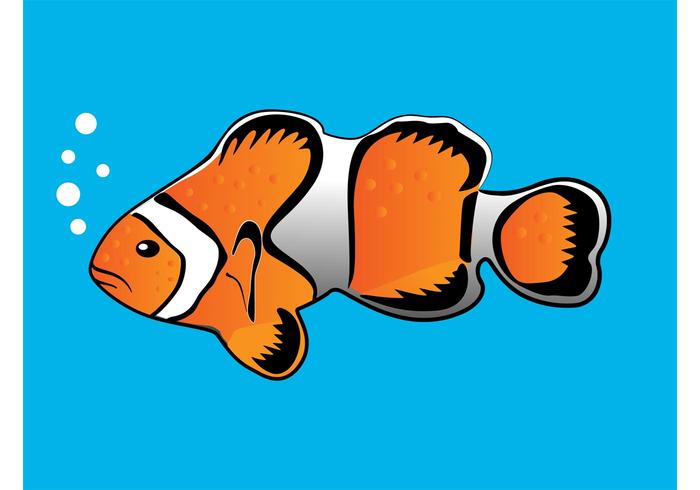 Download Clownfish Vector - Download Free Vector Art, Stock Graphics & Images