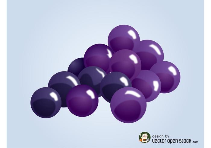 Vector Grapes Vector Grapes