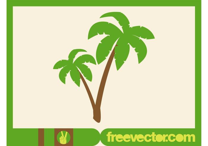 Palm Trees Vector Palm Trees Vector