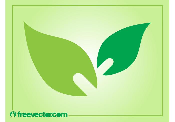 Leaves Icon Vector Leaves Icon Vector