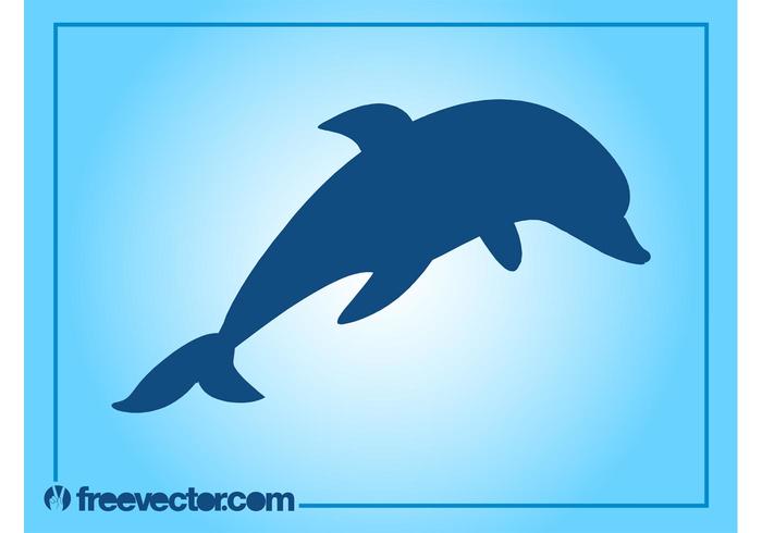 Dolphin Vector Dolphin Vector
