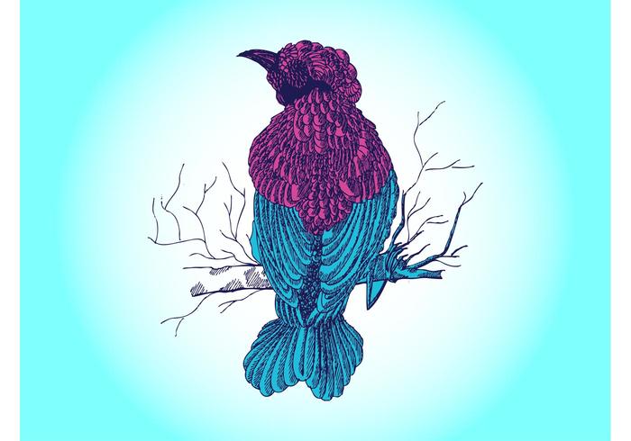 Bird Drawing Vector Bird Drawing Vector