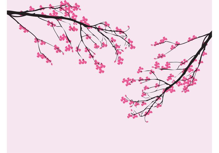 Vector Cherry Blossom Vector Cherry Blossom
