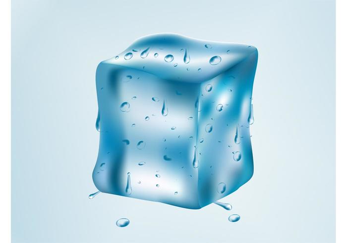 Ice Cube Vector Ice Cube Vector
