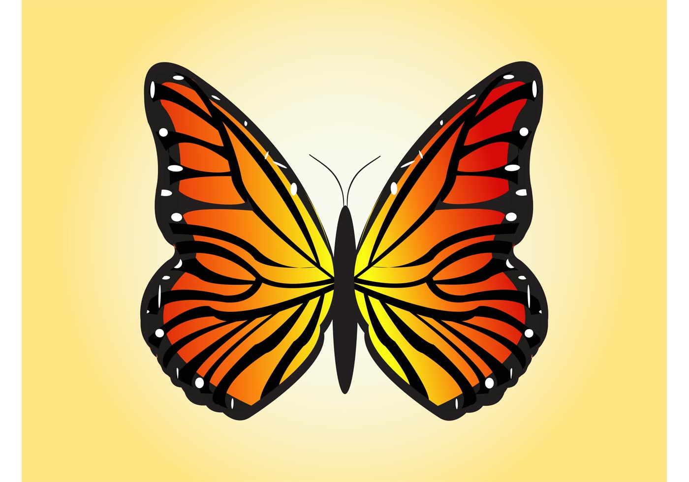 Free Free 71 Butterfly Svg Vector SVG PNG EPS DXF File