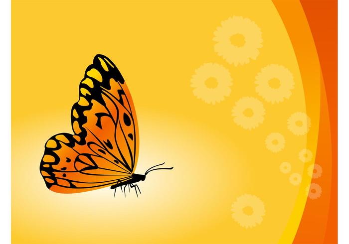 Vector Butterfly Background Vector Butterfly Background
