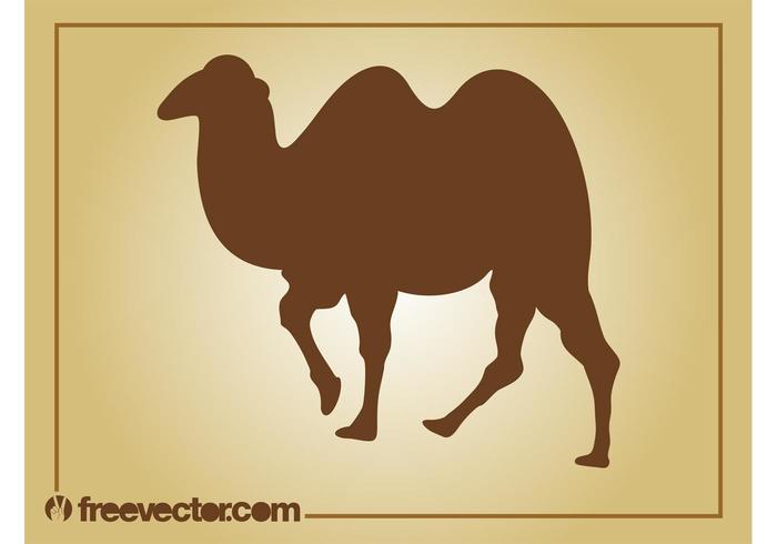 Vector Camel Vector Camel