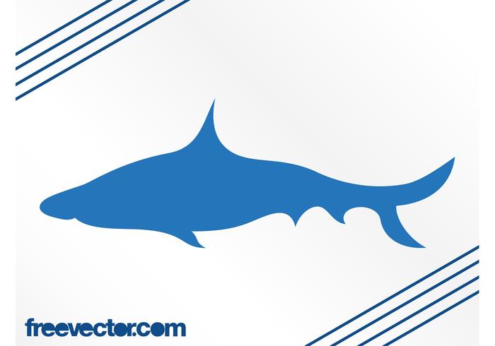 Shark Vector Silhouette Shark Vector Silhouette