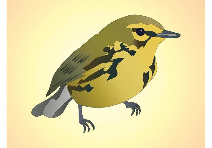 Bird Vector Bird Vector