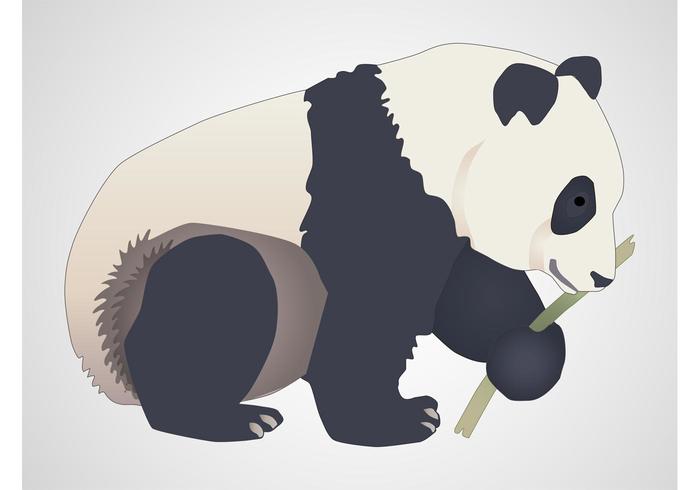 Vector Panda Vector Panda