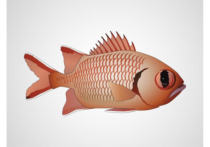 Vector Fish Vector Fish