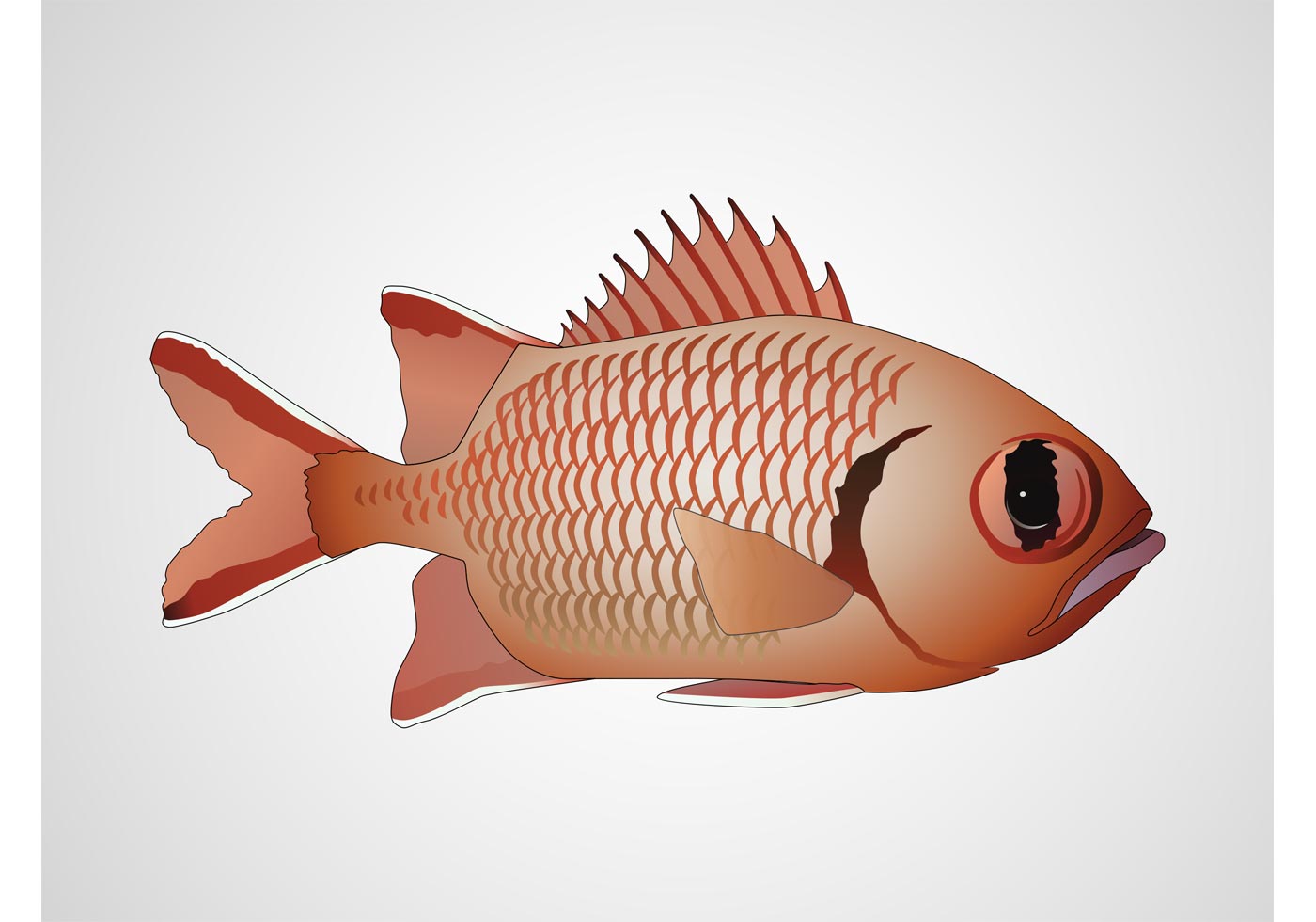 Vector Fish - Download Free Vector Art, Stock Graphics ...
